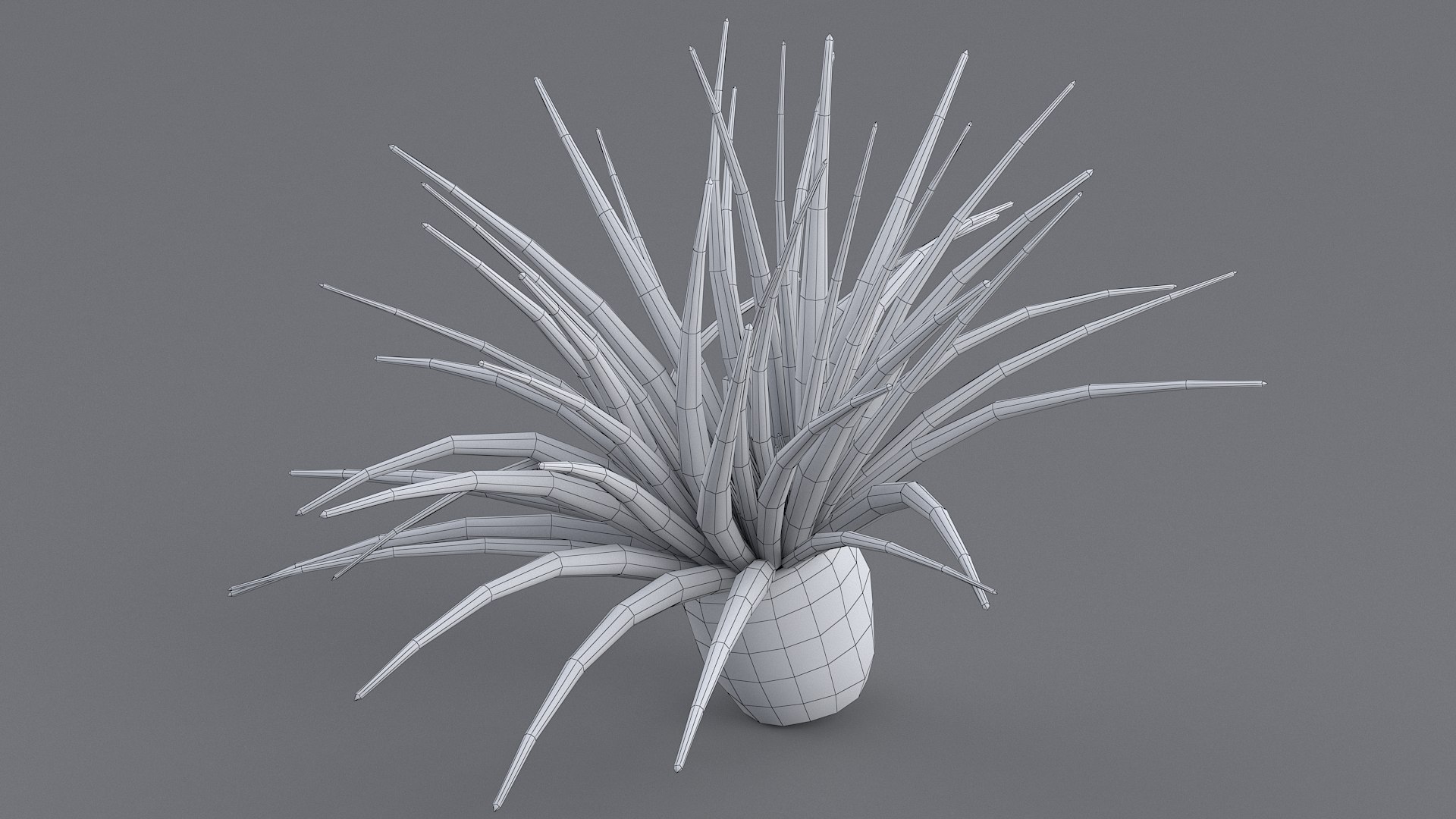 cerianthus coral model https://p.turbosquid.com/ts-thumb/zD/TKzmAG/iIHKc0oH/cerianthus_08/jpg/1575363907/1920x1080/fit_q87/041b4fc67935eb86419addf2f8161628714ce24a/cerianthus_08.jpg