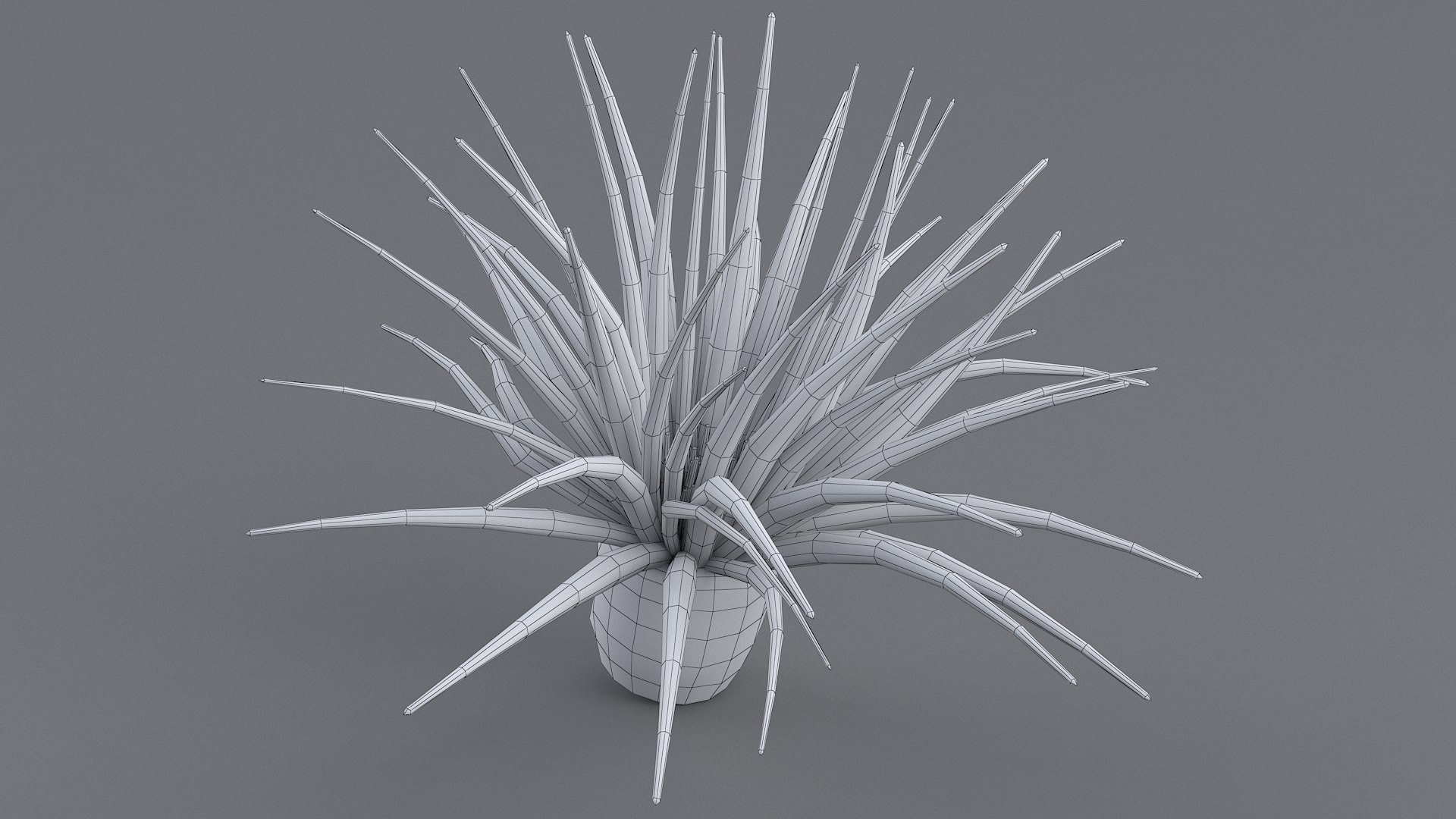 cerianthus coral model https://p.turbosquid.com/ts-thumb/zD/TKzmAG/ttuEVFwa/cerianthus_09/jpg/1575363907/1920x1080/fit_q87/44c3fc2bf87ab49181b038f43e62d9d753e497b3/cerianthus_09.jpg