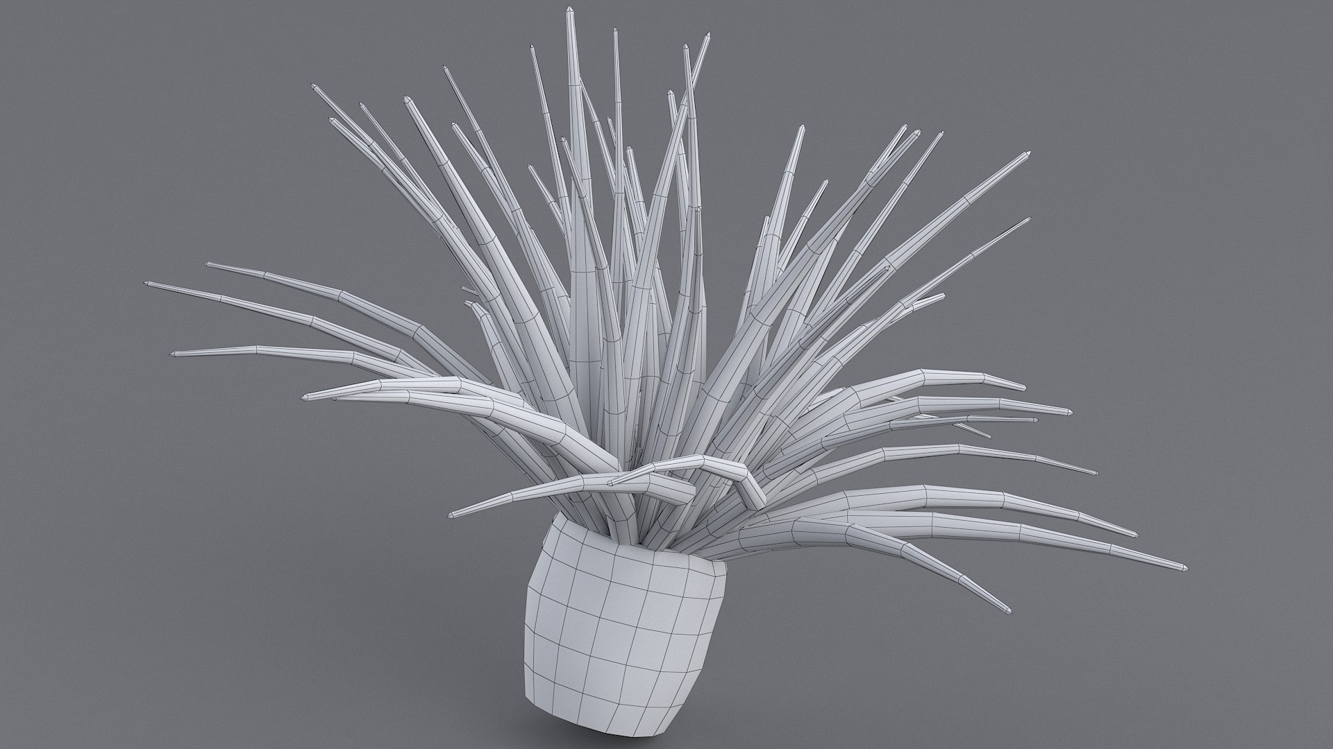 cerianthus coral model https://p.turbosquid.com/ts-thumb/zD/TKzmAG/vStAOHa3/cerianthus_10/jpg/1575363907/1920x1080/fit_q87/3aa3956ec1fb0f5c12e77fe2e91ffa8eaaaa2db0/cerianthus_10.jpg