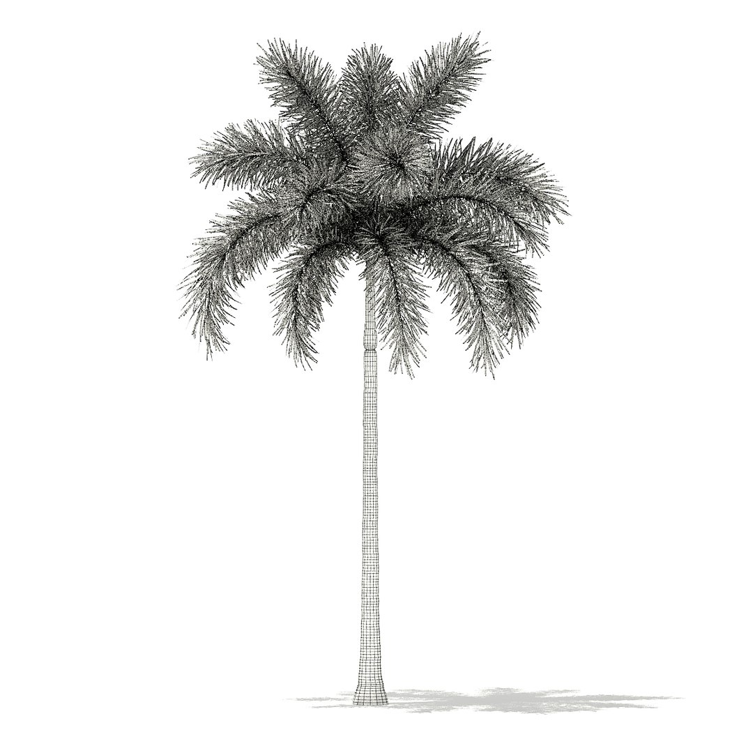 3D palm trees model https://p.turbosquid.com/ts-thumb/zD/bshfM7/LwzDnhjn/cgaxis_models_110_2600_grid/jpg/1552598483/1920x1080/fit_q87/f9ef9efac318f0c7a9cf54079656c08566e4755b/cgaxis_models_110_2600_grid.jpg