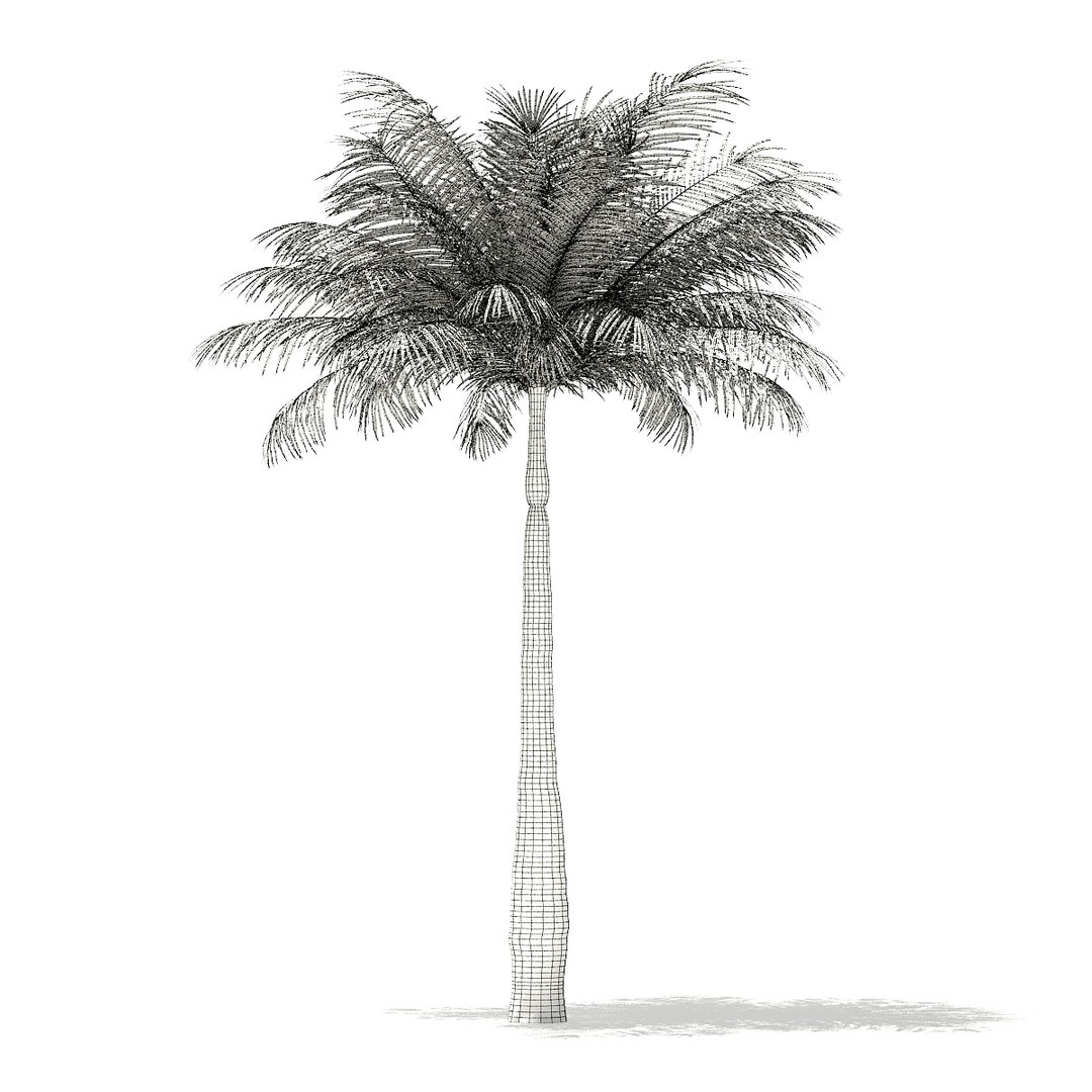 3D palm trees model https://p.turbosquid.com/ts-thumb/zD/bshfM7/MGVfmu5w/cgaxis_models_110_2400_grid/jpg/1552598483/1920x1080/fit_q87/5691ed25ff8ff3db96ecc023240ce18c639afad6/cgaxis_models_110_2400_grid.jpg