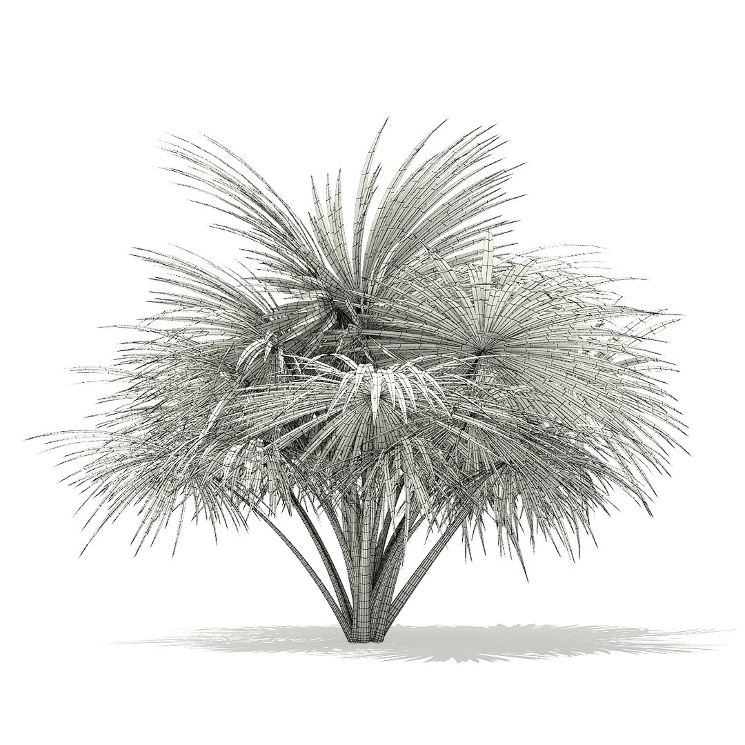 3D palm trees model https://p.turbosquid.com/ts-thumb/zD/bshfM7/cZxgzHIc/cgaxis_models_110_4900_grid/jpg/1552598486/1920x1080/fit_q87/961e839bae9656dc63d3018bb28b91468337e486/cgaxis_models_110_4900_grid.jpg