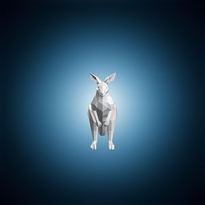 Geometric Kangaroo 3D Print Model 3D model