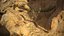 Rattlesnake
