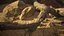 Rattlesnake