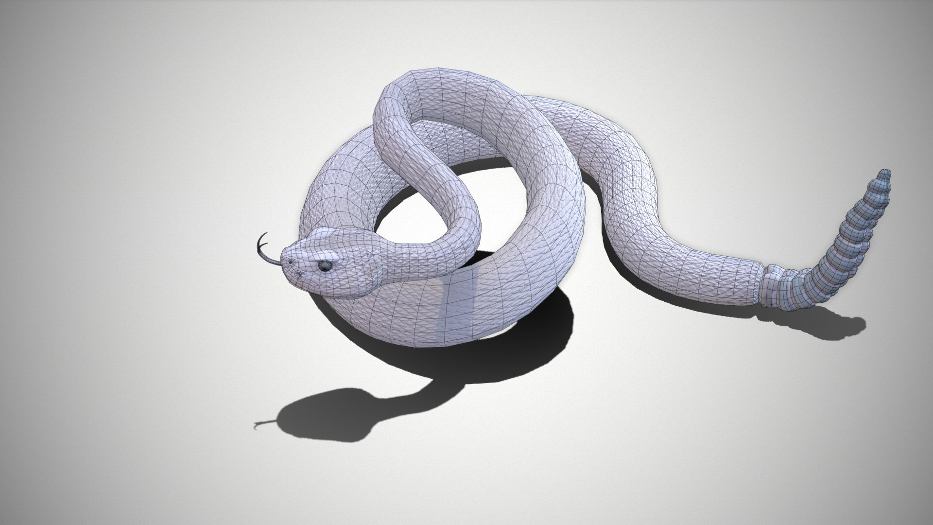 Rattlesnake 3D model https://p.turbosquid.com/ts-thumb/zD/qOTdbA/1M/screenshot092/png/1626569468/1920x1080/fit_q87/4d92d703ba99380ca2dd3c3f4b4299a0dd09c7f2/screenshot092.jpg
