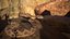 Rattlesnake
