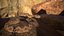 Rattlesnake