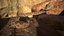 Rattlesnake