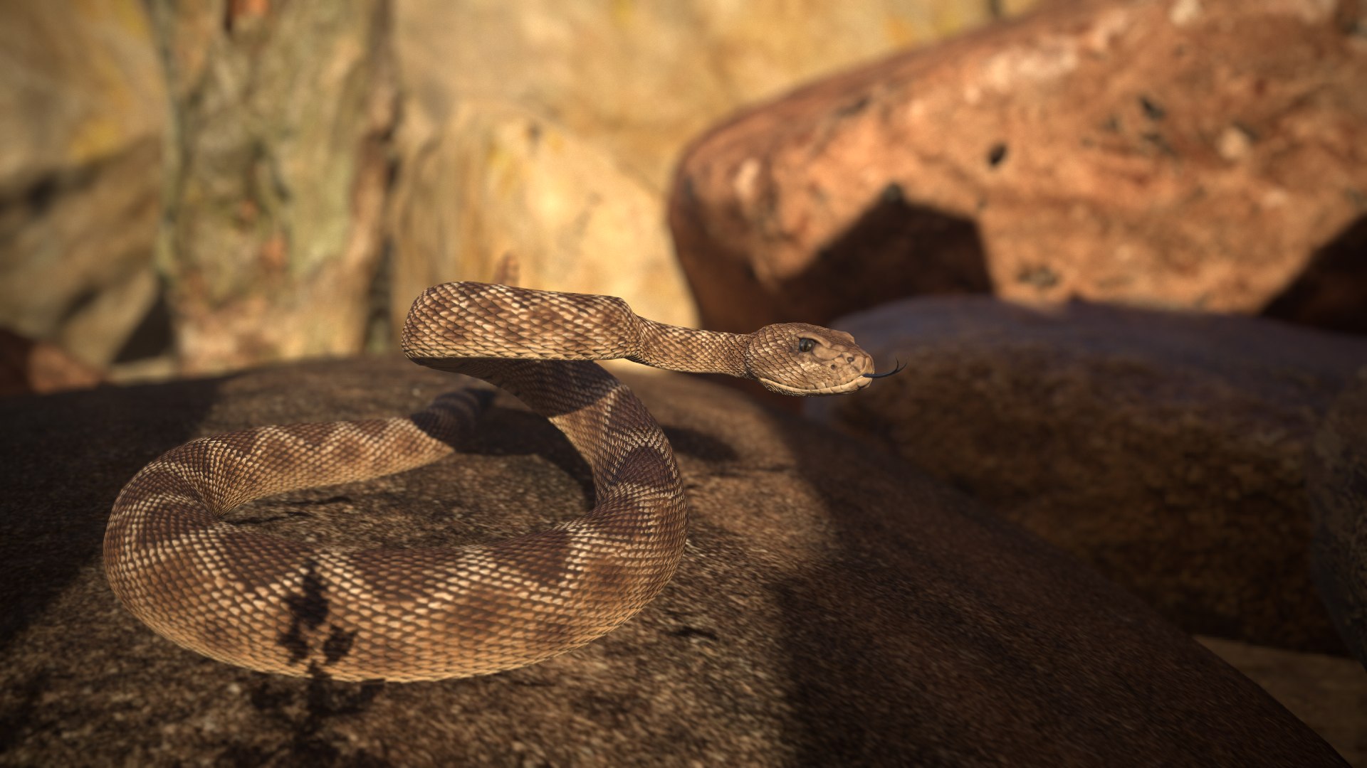 Rattlesnake 3D model https://p.turbosquid.com/ts-thumb/zD/qOTdbA/9U/screenshot019/png/1626569475/1920x1080/fit_q87/b5df2e9d75cb3b159c277a34e8a5638dd366af8f/screenshot019.jpg