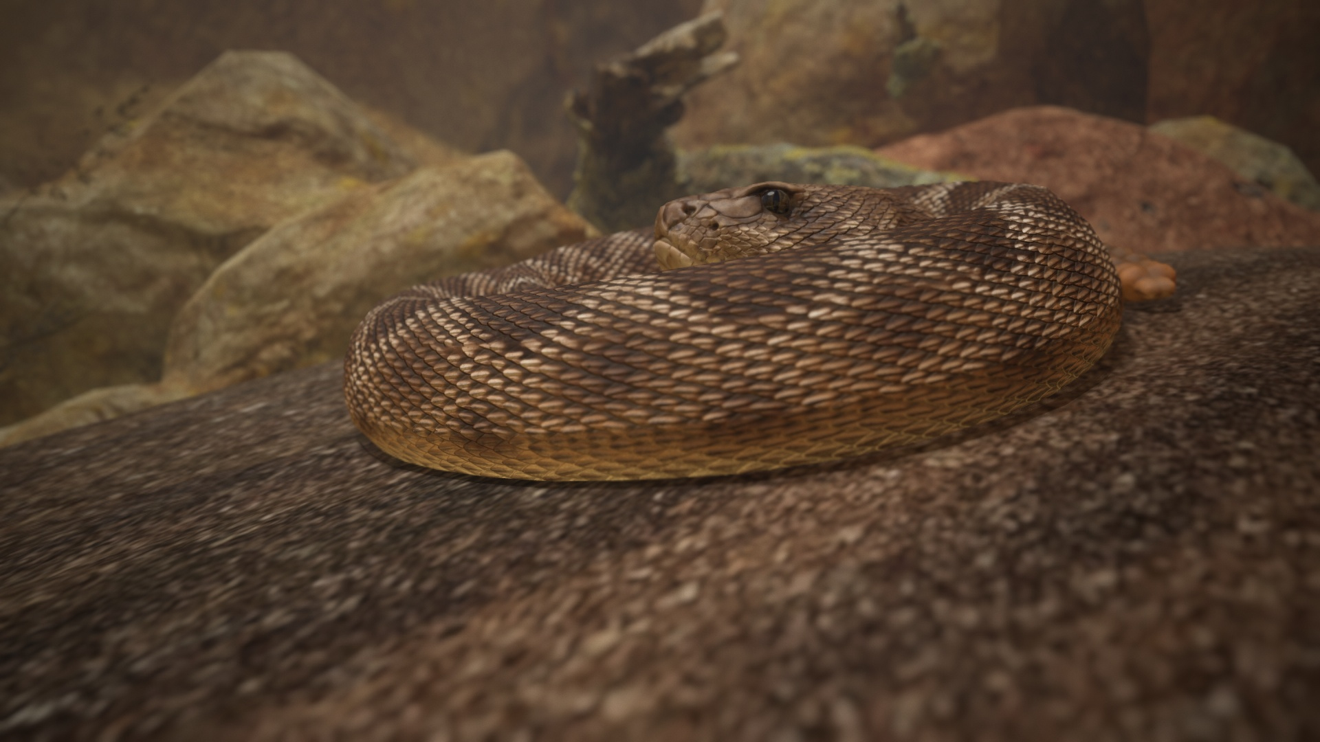 Rattlesnake 3D model https://p.turbosquid.com/ts-thumb/zD/qOTdbA/9g/ttbl3/jpg/1626570406/1920x1080/turn_fit_q99/2df463fff51d0dd8791f823fb33840cb88cc915d/ttbl3-1.jpg