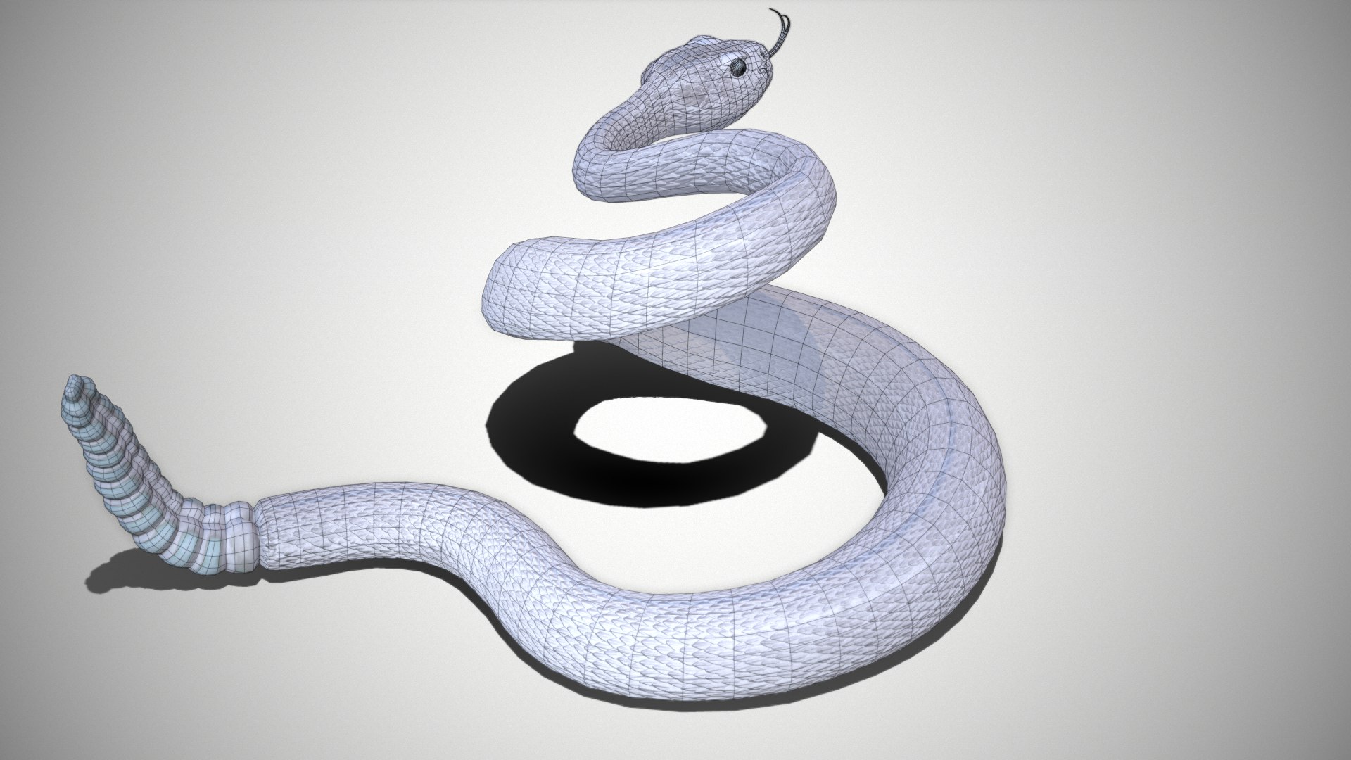 Rattlesnake 3D model https://p.turbosquid.com/ts-thumb/zD/qOTdbA/9x/screenshot093/png/1626569482/1920x1080/fit_q87/b674072f883fe44b2e86300f5b42b74f0970a0a0/screenshot093.jpg