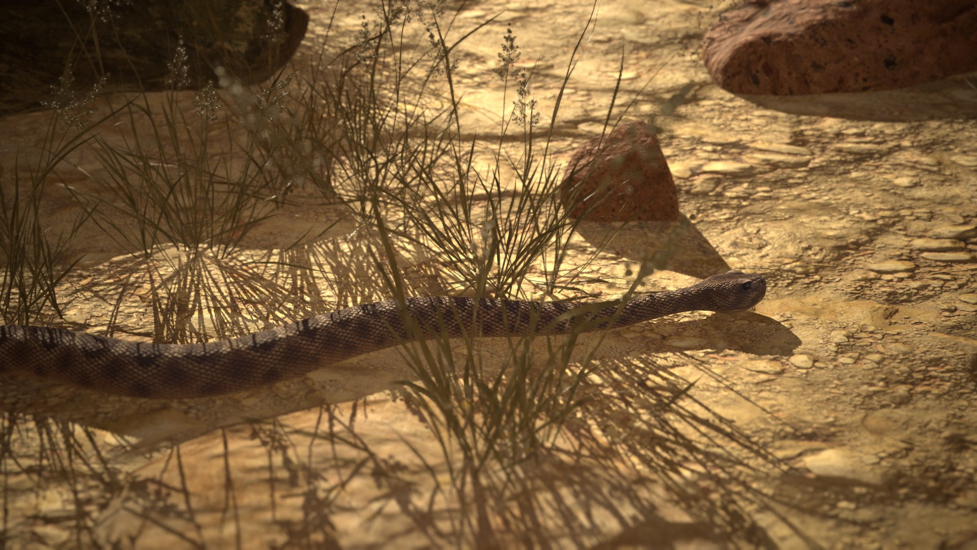 Rattlesnake 3D model https://p.turbosquid.com/ts-thumb/zD/qOTdbA/C7/screenshot076/png/1626569525/1920x1080/fit_q87/9bc4f011a66f828f70c9b61730bb7c91f304e88f/screenshot076.jpg
