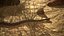 Rattlesnake