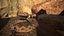 Rattlesnake