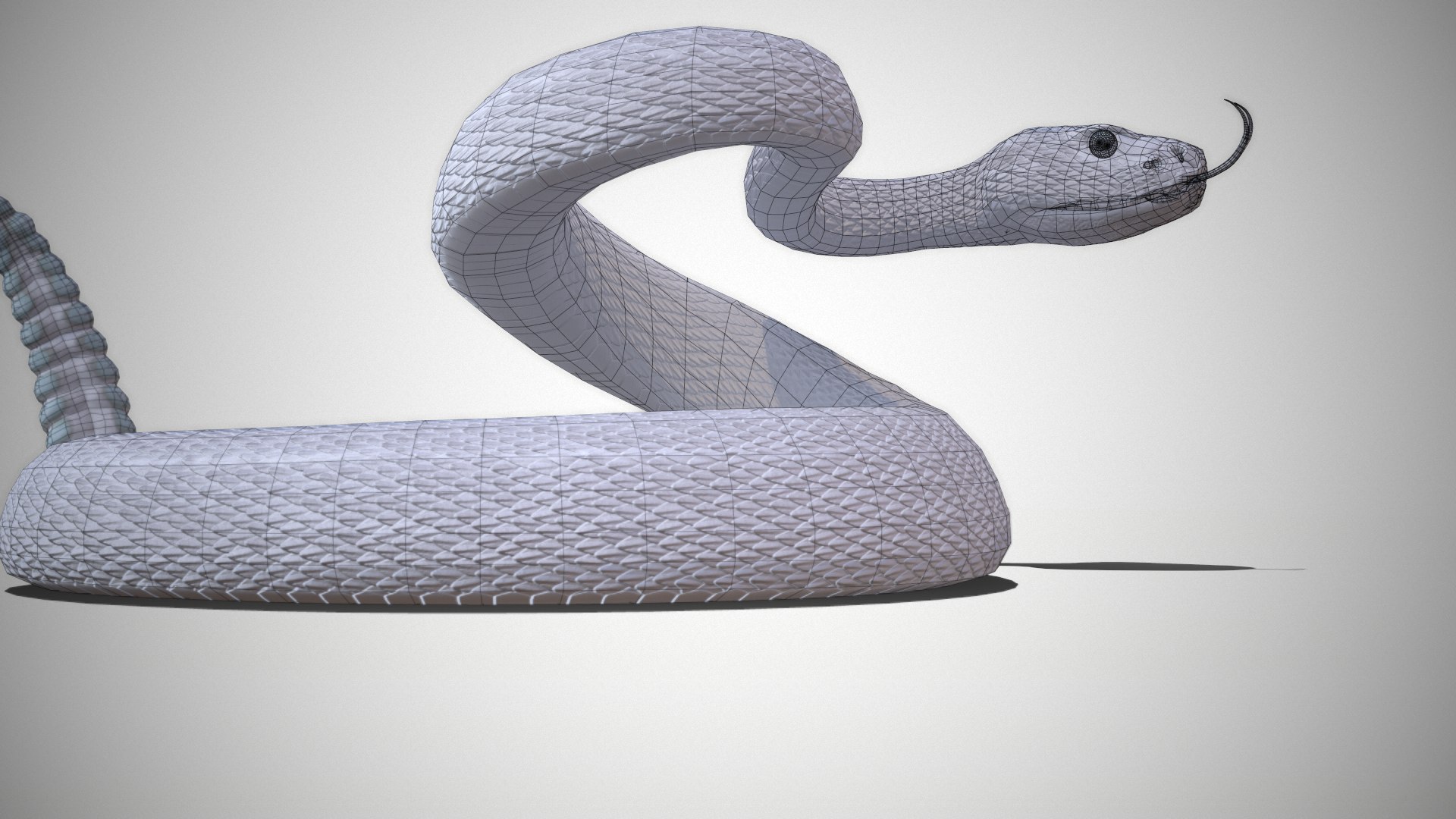Rattlesnake 3D model https://p.turbosquid.com/ts-thumb/zD/qOTdbA/Ft/screenshot094/png/1626569463/1920x1080/fit_q87/3560e4d3ad5159ab416a97a7d69f6cdcc8ef28ce/screenshot094.jpg
