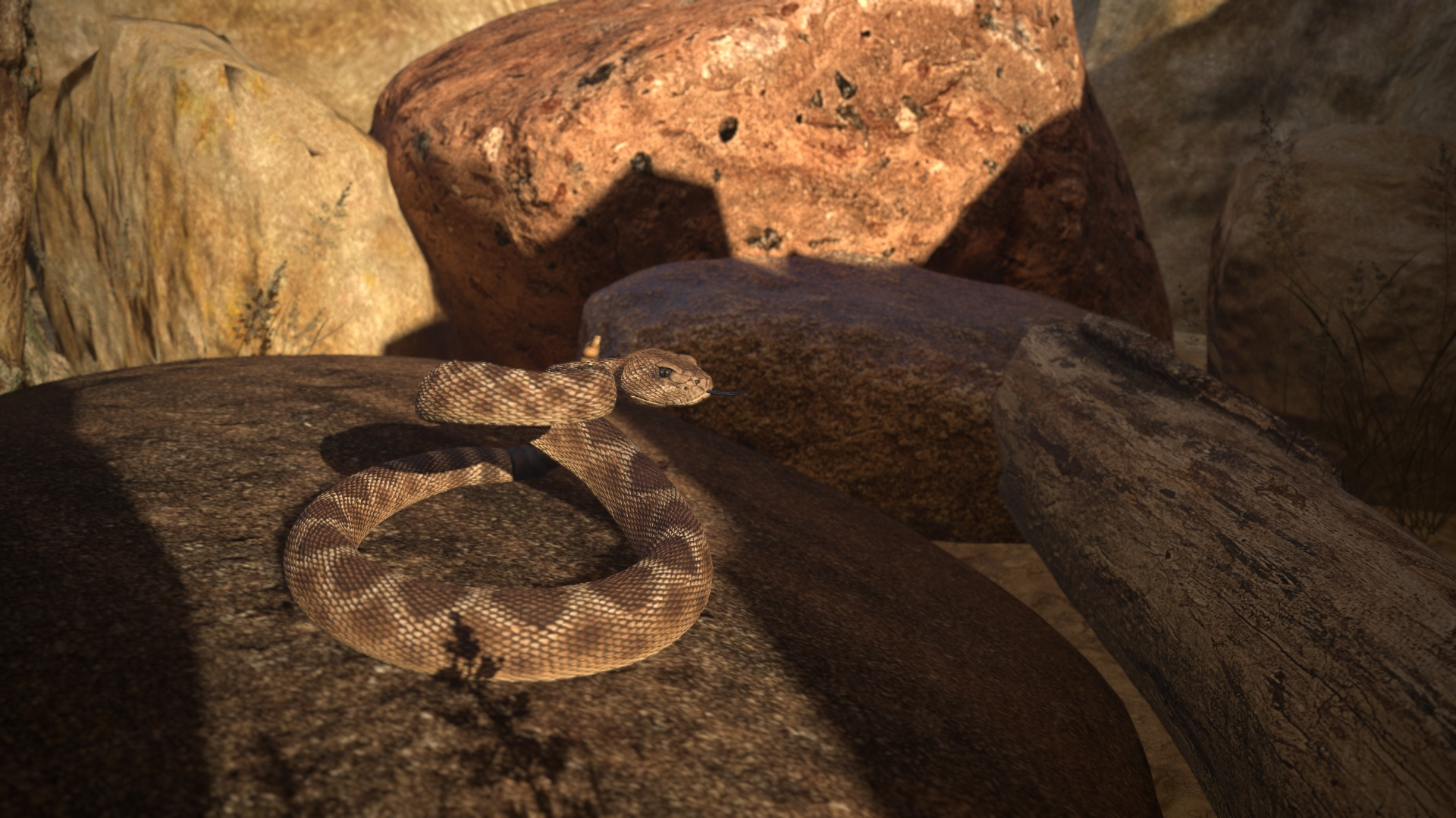 Rattlesnake 3D model https://p.turbosquid.com/ts-thumb/zD/qOTdbA/G2/ttb/jpg/1626573508/1920x1080/turn_fit_q99/071f0394e7c4836f55231f7766949ae0a045a1c2/ttb-1.jpg