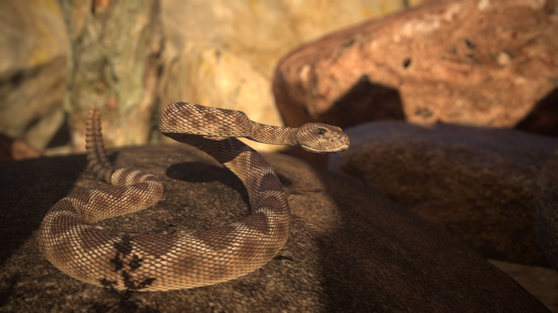 Rattlesnake 3D model https://p.turbosquid.com/ts-thumb/zD/qOTdbA/Hu/screenshot021/png/1626569489/1920x1080/fit_q87/2c6967fd83857fa7c117ee86567e831fc4886d94/screenshot021.jpg