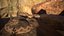 Rattlesnake