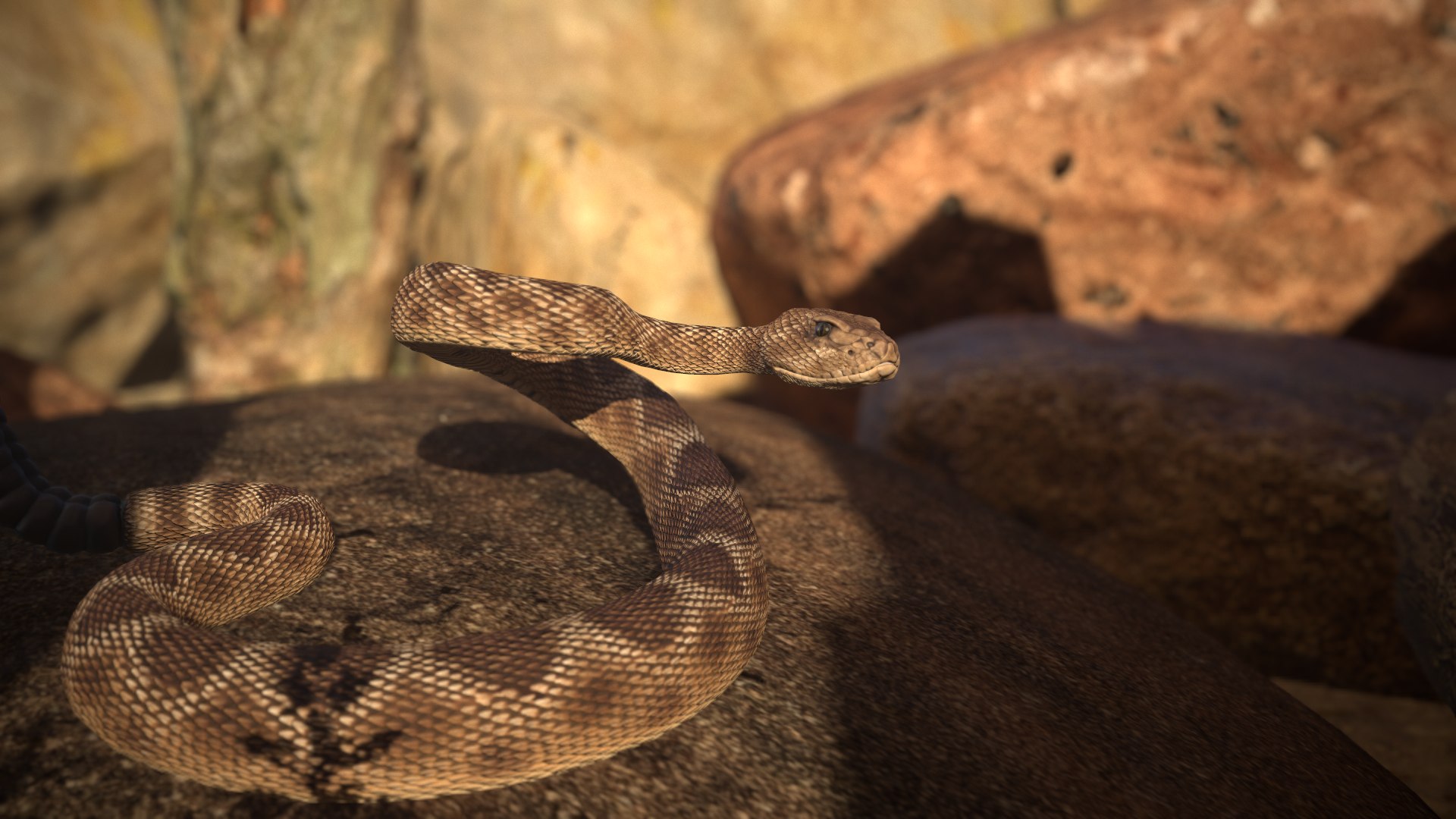 Rattlesnake 3D model https://p.turbosquid.com/ts-thumb/zD/qOTdbA/I6/screenshot024/png/1626569492/1920x1080/fit_q87/881d1ea19f323c6b33b552081e6c8e10f3aca989/screenshot024.jpg