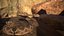 Rattlesnake