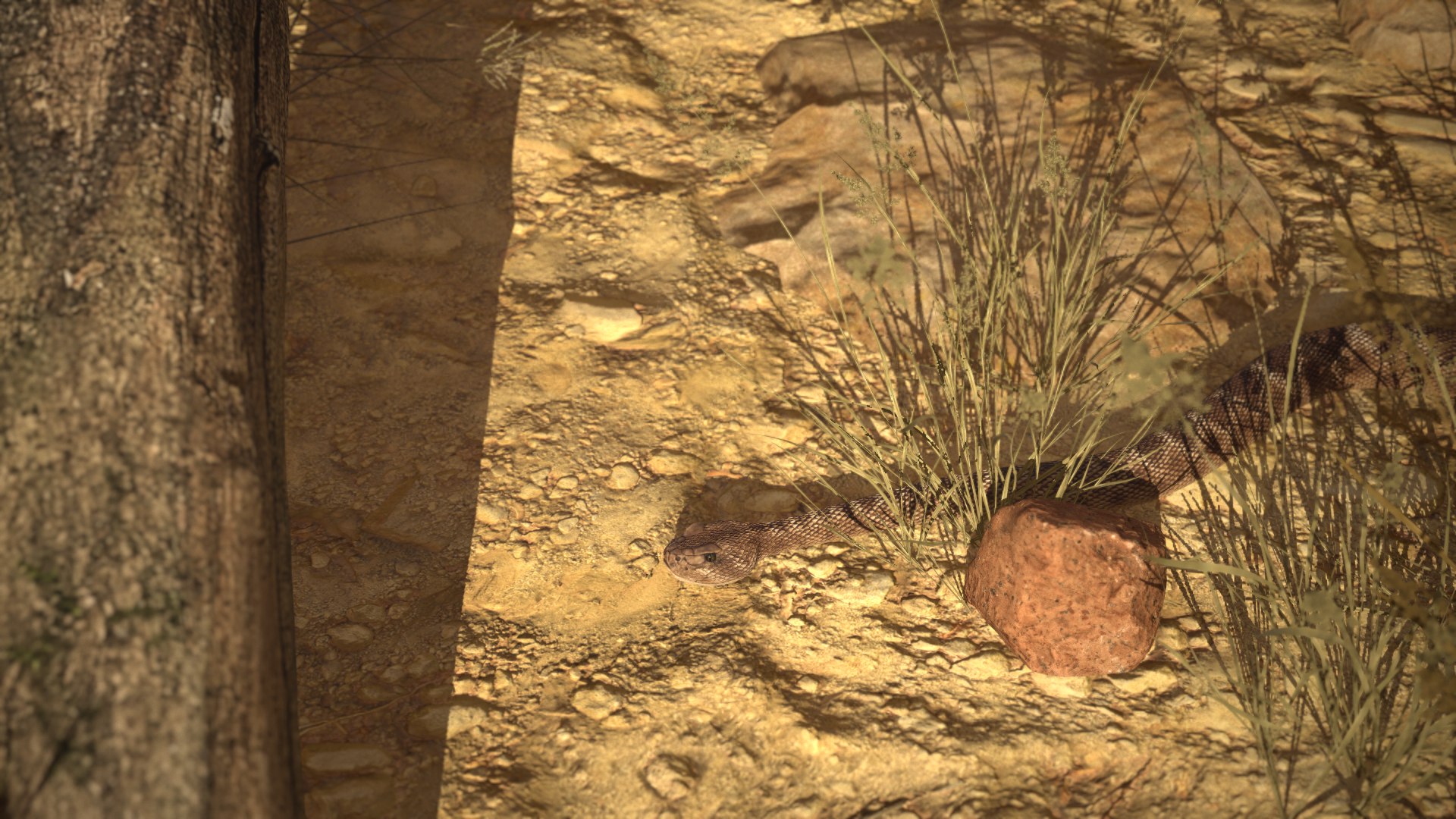 Rattlesnake 3D model https://p.turbosquid.com/ts-thumb/zD/qOTdbA/Mg/screenshot075/png/1626569533/1920x1080/fit_q87/972511ecd056c34a2451a4431499279f28961cf0/screenshot075.jpg
