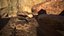 Rattlesnake