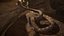 Rattlesnake