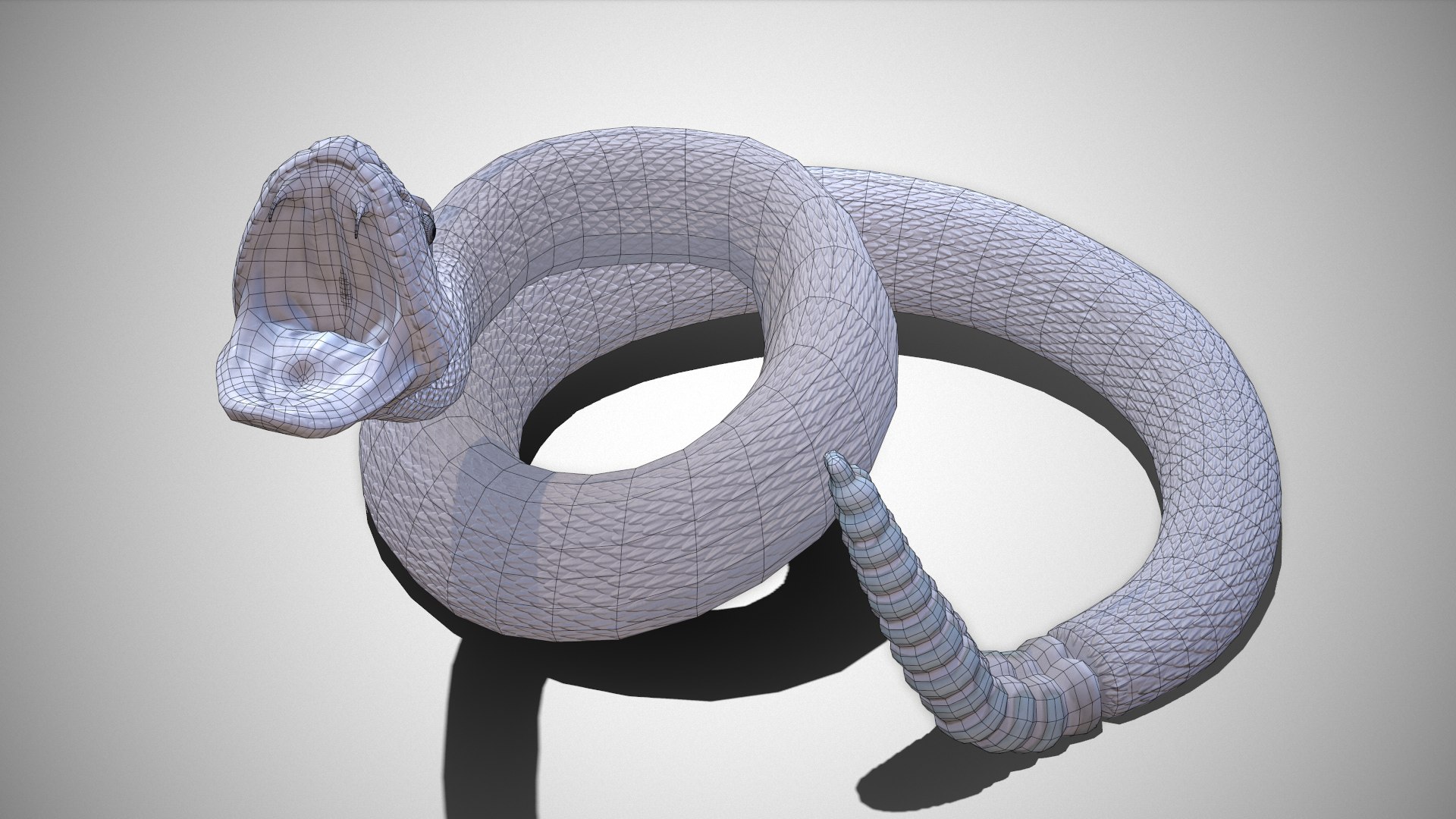 Rattlesnake 3D model https://p.turbosquid.com/ts-thumb/zD/qOTdbA/PI/screenshot095/png/1626569497/1920x1080/fit_q87/b2e98bfff23435d274814bd5b69b94f1ed3d4951/screenshot095.jpg