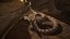 Rattlesnake