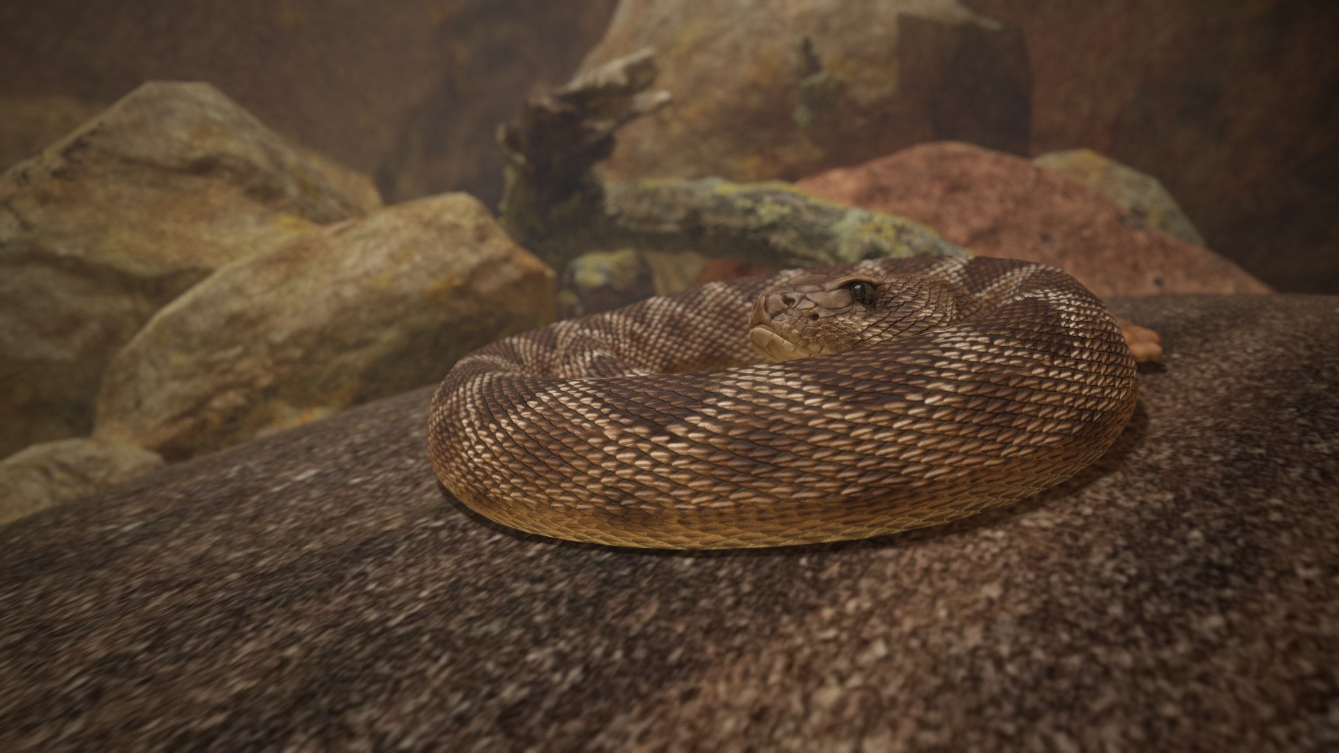 Rattlesnake 3D model https://p.turbosquid.com/ts-thumb/zD/qOTdbA/Us/screenshot086/png/1626569467/1920x1080/fit_q87/4684303224e00c797c05317960fe69924dacff52/screenshot086.jpg