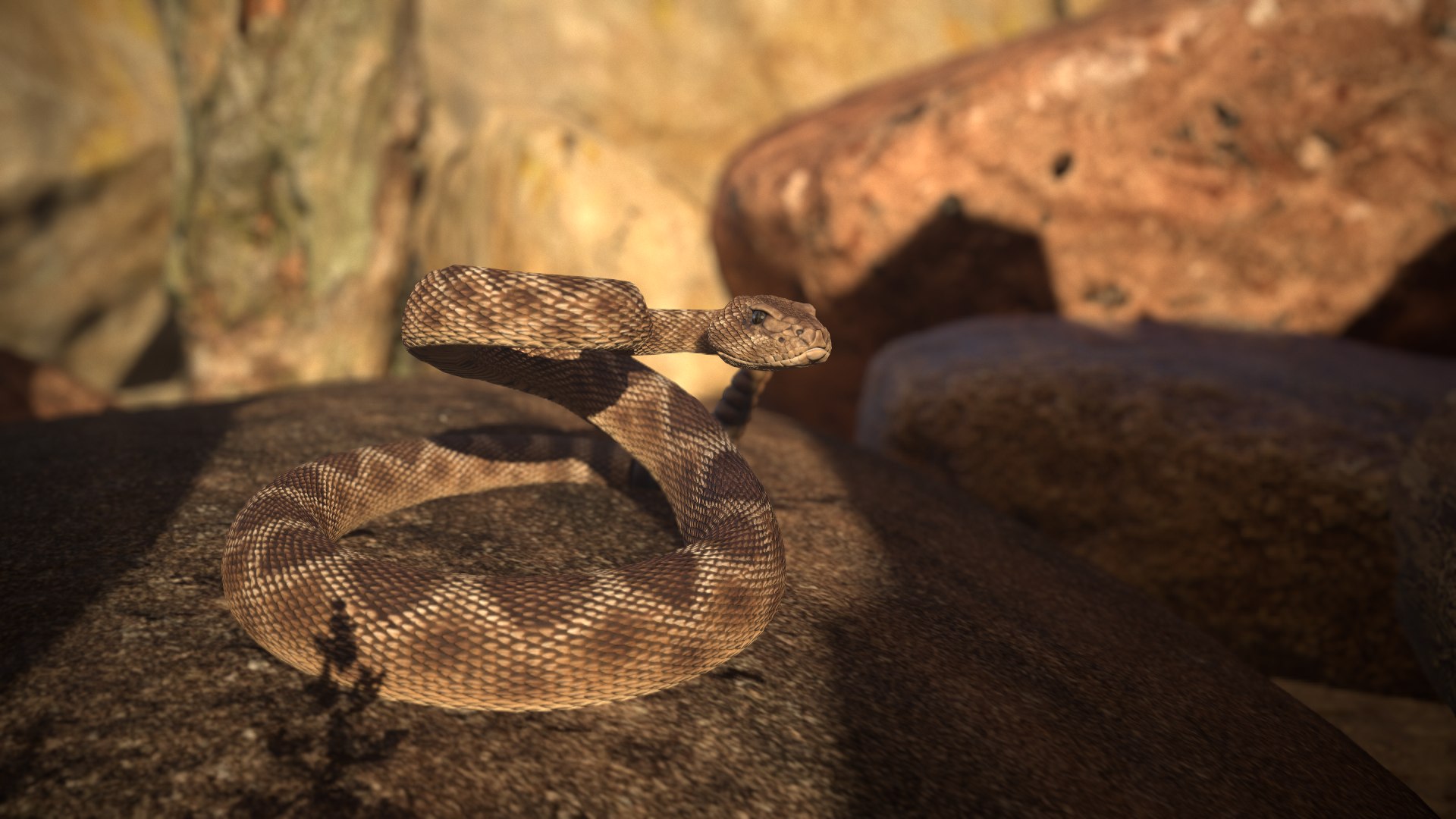 Rattlesnake 3D model https://p.turbosquid.com/ts-thumb/zD/qOTdbA/V9/screenshot008/png/1626569422/1920x1080/fit_q87/f124fa31cad8742e8dcb51b158b498ef49d41dc6/screenshot008.jpg
