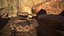 Rattlesnake