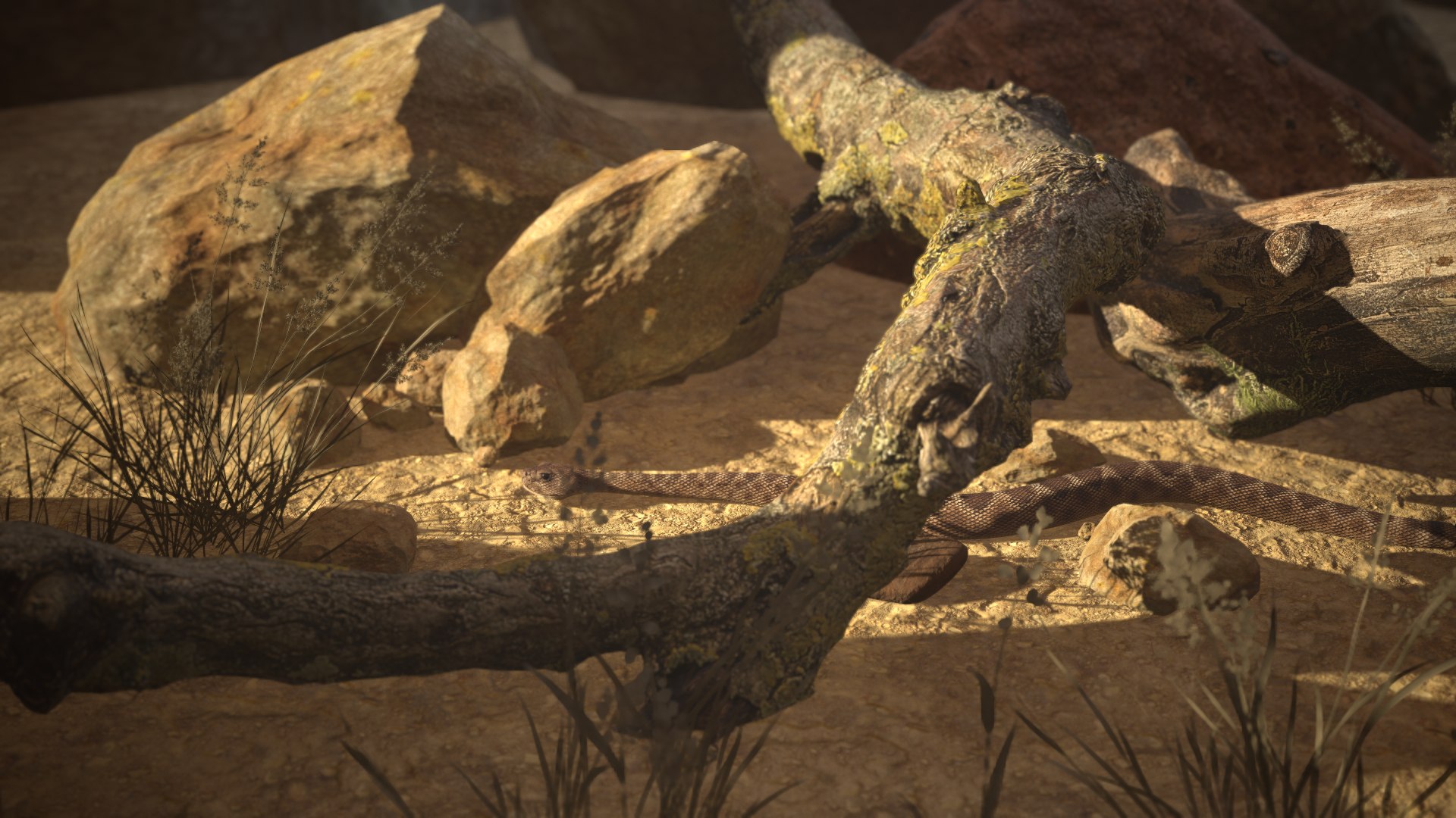 Rattlesnake 3D model https://p.turbosquid.com/ts-thumb/zD/qOTdbA/VW/screenshot066/png/1626569512/1920x1080/fit_q87/9f23f2930b33e2104ef9862c8c1a77fce09ce44e/screenshot066.jpg