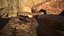 Rattlesnake