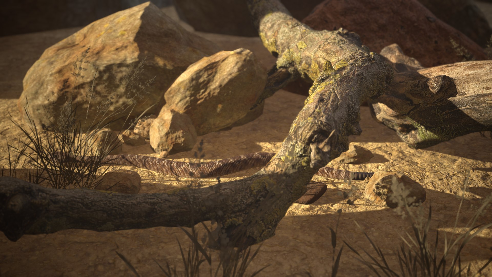 Rattlesnake 3D model https://p.turbosquid.com/ts-thumb/zD/qOTdbA/Wx/screenshot068/png/1626569513/1920x1080/fit_q87/00cffab682b743f7455bad174b13c18aaa952f28/screenshot068.jpg