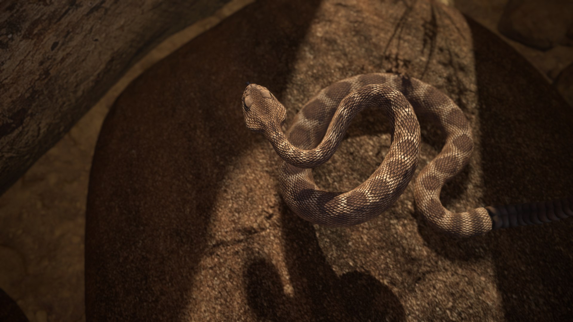Rattlesnake 3D model https://p.turbosquid.com/ts-thumb/zD/qOTdbA/X9/screenshot051/png/1626569465/1920x1080/fit_q87/3ba4678e9bc77be19642cc605510d84e009cb567/screenshot051.jpg