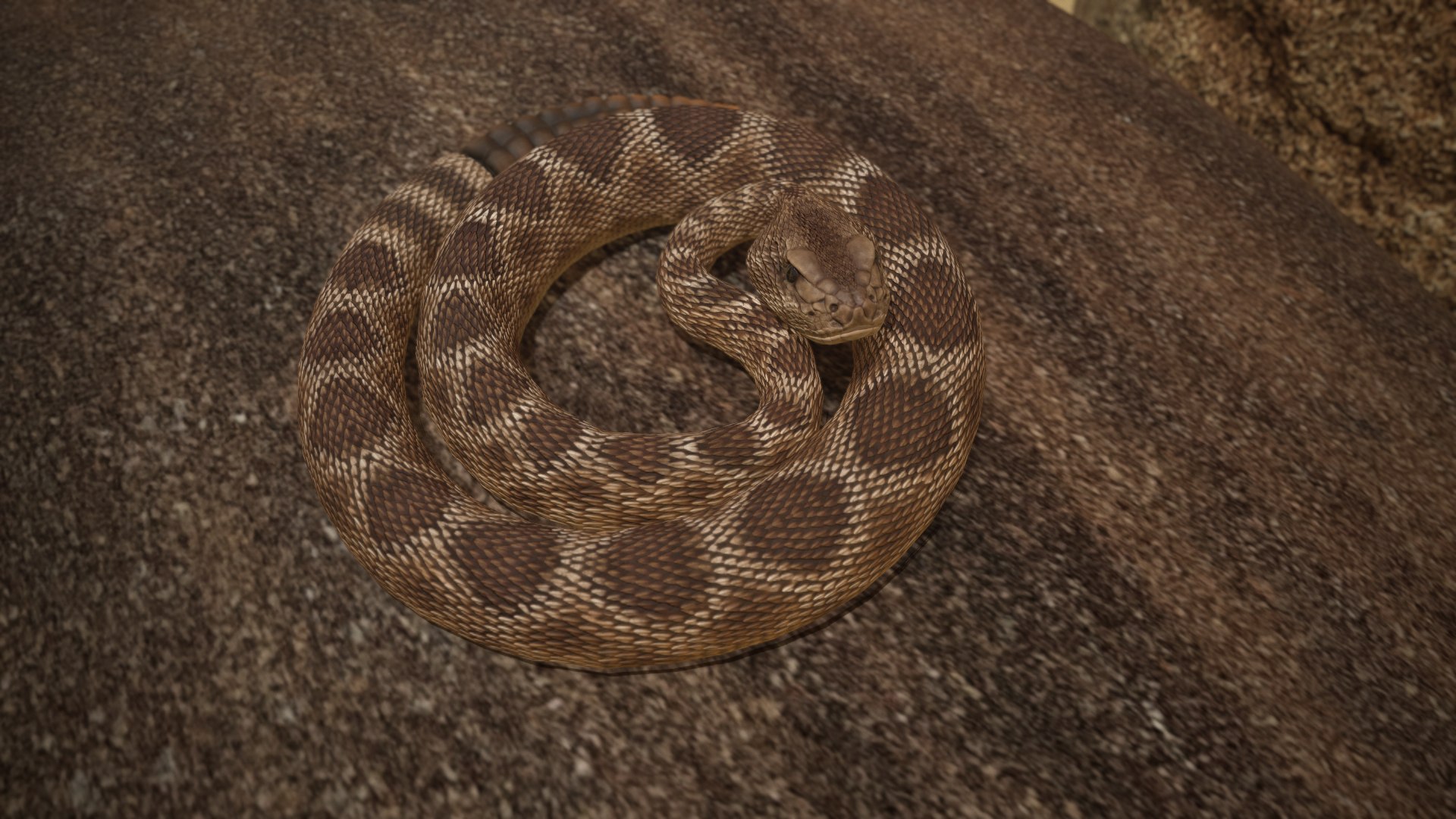 Rattlesnake 3D model https://p.turbosquid.com/ts-thumb/zD/qOTdbA/XB/screenshot085/png/1626569502/1920x1080/fit_q87/da21aae742beb2ab46b1f2afb3046fc291fce191/screenshot085.jpg