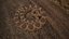 Rattlesnake