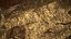 Rattlesnake