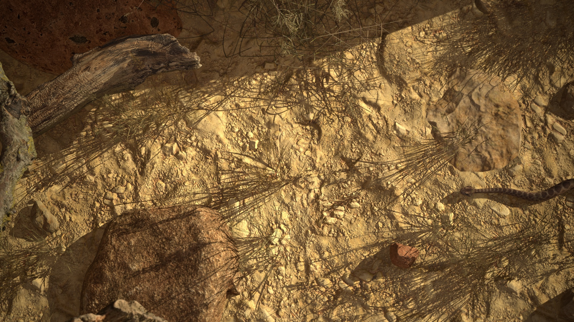 Rattlesnake 3D model https://p.turbosquid.com/ts-thumb/zD/qOTdbA/XL/ttbl1/jpg/1626569701/1920x1080/turn_fit_q99/1d92cf8f1f8dd06428cbd51b603a08f9569b7c32/ttbl1-1.jpg