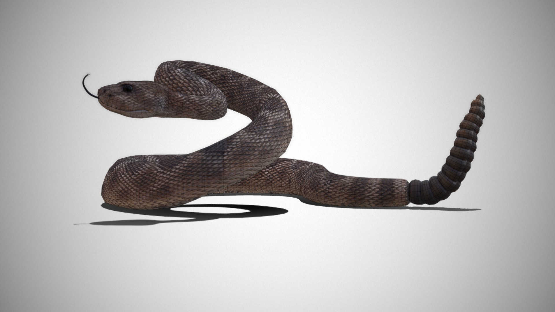 Rattlesnake 3D model https://p.turbosquid.com/ts-thumb/zD/qOTdbA/XQ/screenshot091/png/1626569419/1920x1080/fit_q87/29046c77025b2da627269b4ea9ea2dfd02daf64c/screenshot091.jpg