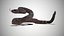 Rattlesnake