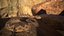 Rattlesnake