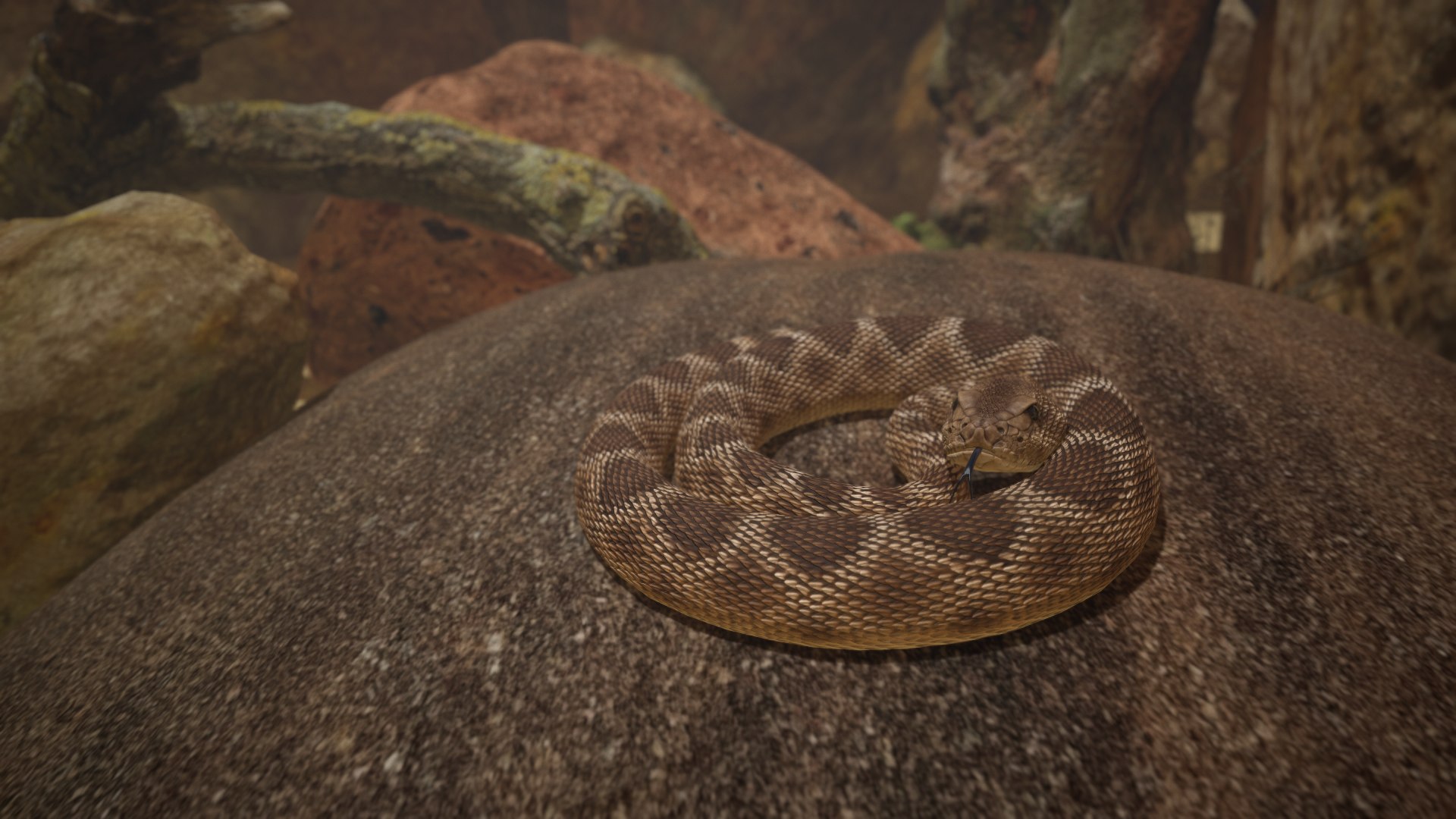 Rattlesnake 3D model https://p.turbosquid.com/ts-thumb/zD/qOTdbA/YR/screenshot082/png/1626569495/1920x1080/fit_q87/63426f93cafb40a5939847f308c0f517eae9eca0/screenshot082.jpg