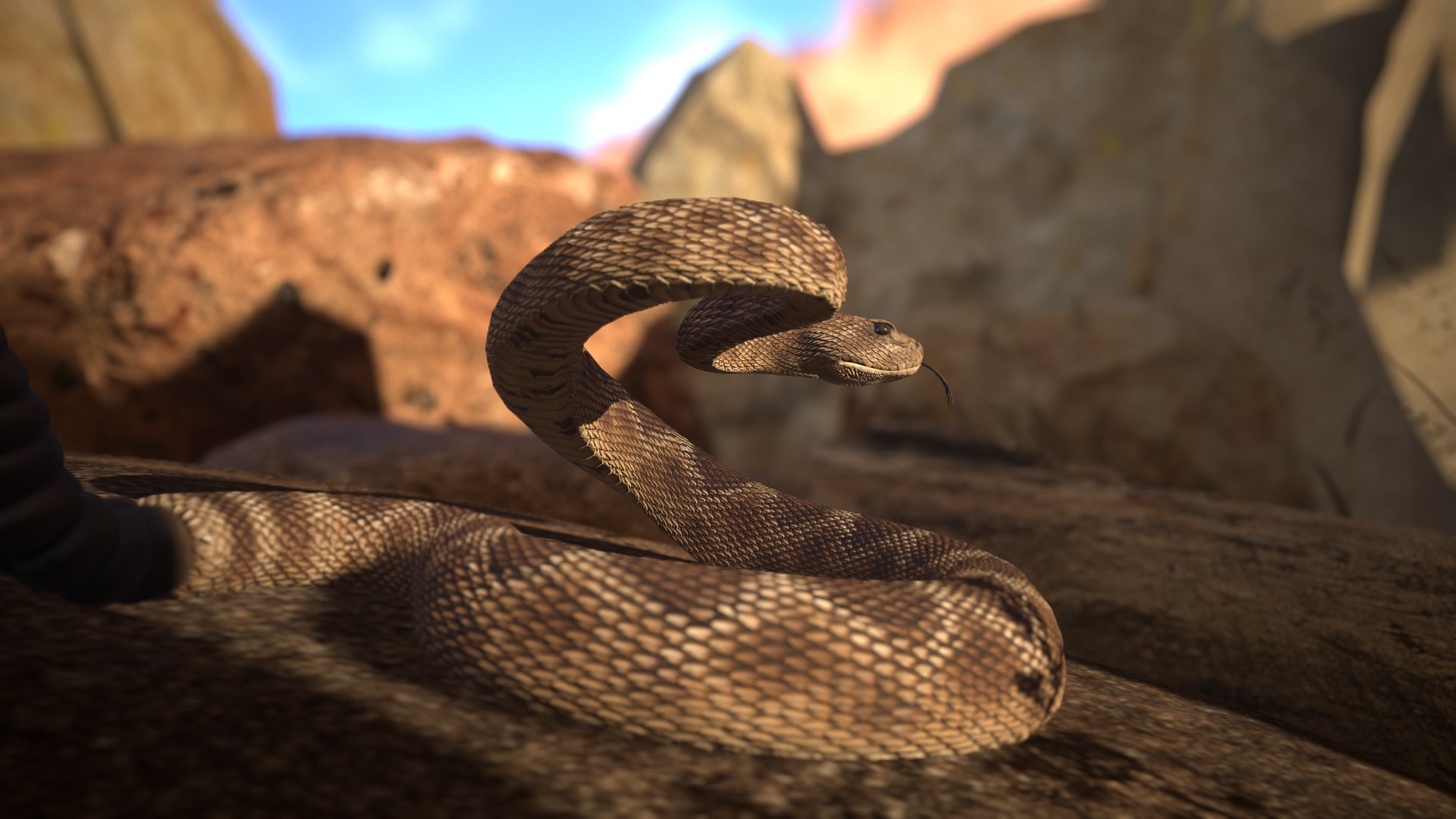 Rattlesnake 3D model https://p.turbosquid.com/ts-thumb/zD/qOTdbA/Zd/screenshot049/png/1626569463/1920x1080/fit_q87/eb8a084a8bfaf019b9a1d47c8dcd60031579e969/screenshot049.jpg