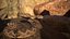 Rattlesnake