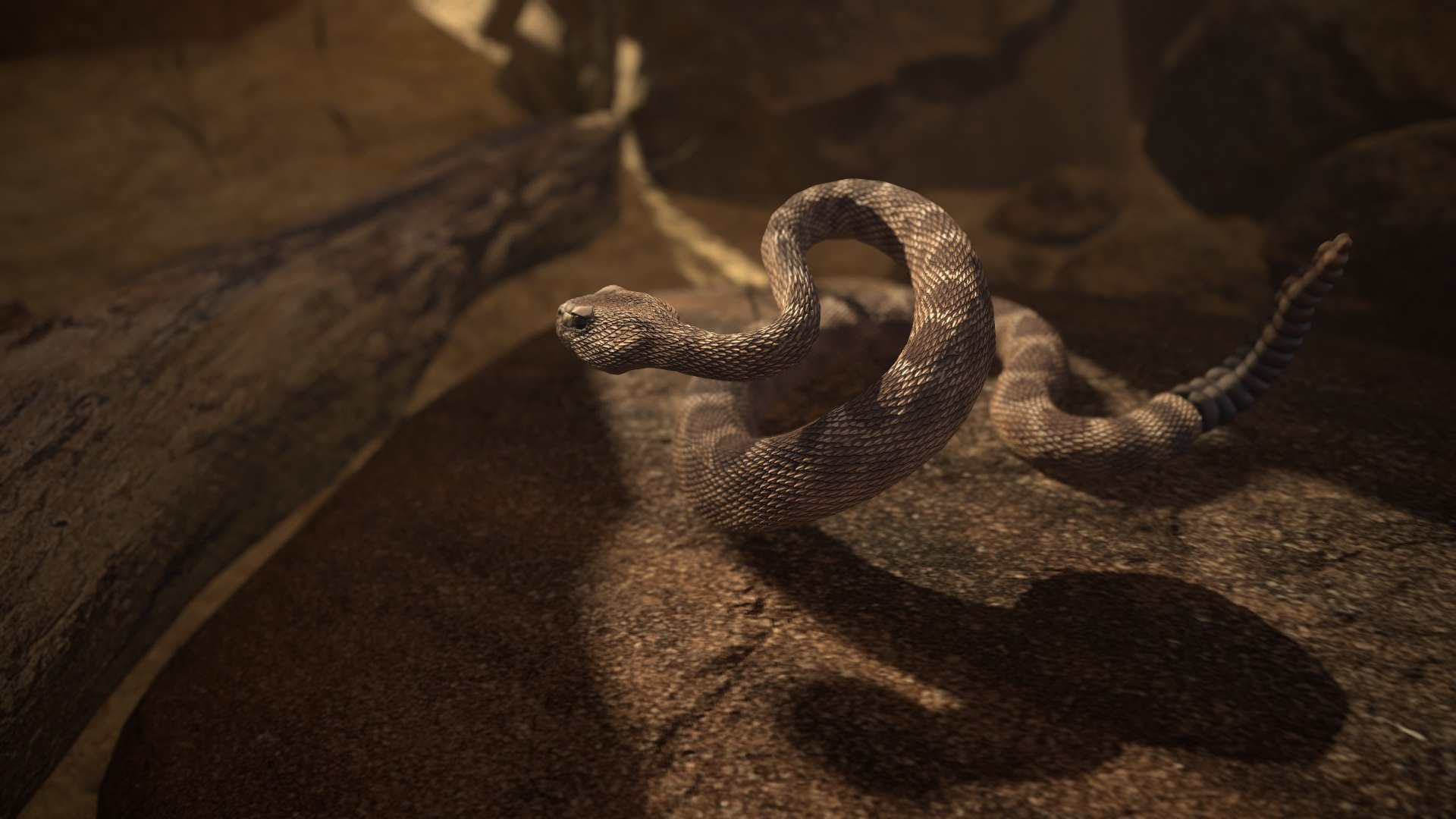 Rattlesnake 3D model https://p.turbosquid.com/ts-thumb/zD/qOTdbA/b1/screenshot047/png/1626569438/1920x1080/fit_q87/3996a9b26dcbfc4c621066b48b1da9754904032f/screenshot047.jpg