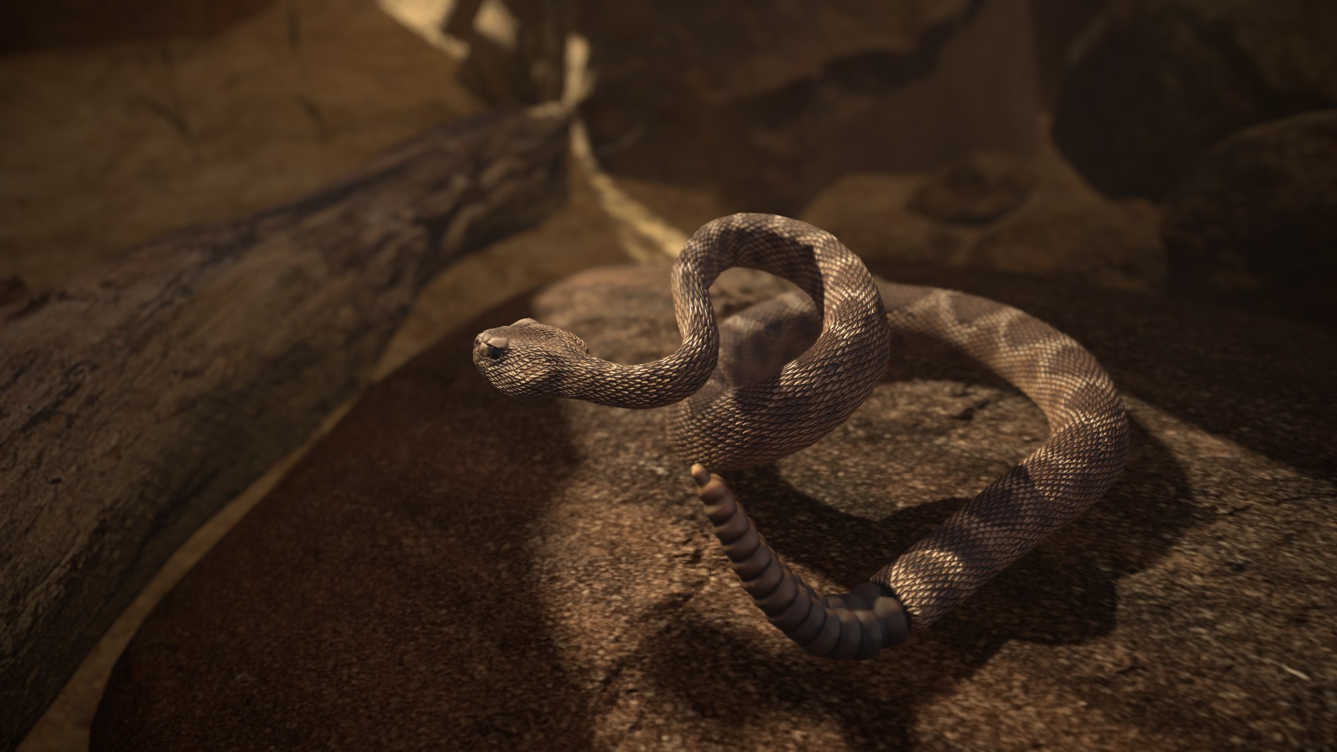 Rattlesnake 3D model https://p.turbosquid.com/ts-thumb/zD/qOTdbA/fS/screenshot041/png/1626569454/1920x1080/fit_q87/4db7bfcbff9a28dc542d34eaf13a28909f07754e/screenshot041.jpg