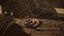Rattlesnake
